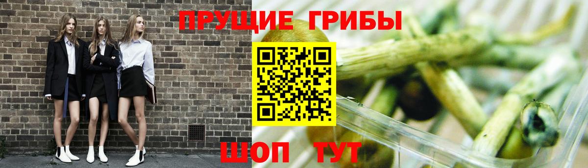 Галлюциногенные грибы GOLDEN TEACHER  Вход с VPN  Жигулёвск 